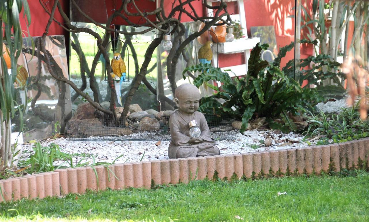 Maison Toulousaine Avec Jardin Toulouse Bagian luar foto